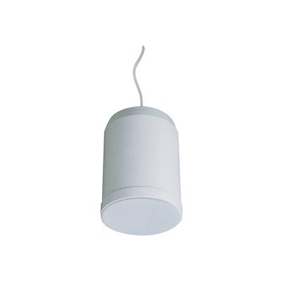20W 6.5 Inch ABS Material Pendant Speaker