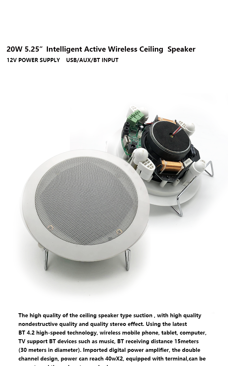 1 Bluetooth active ceiling speaker.png