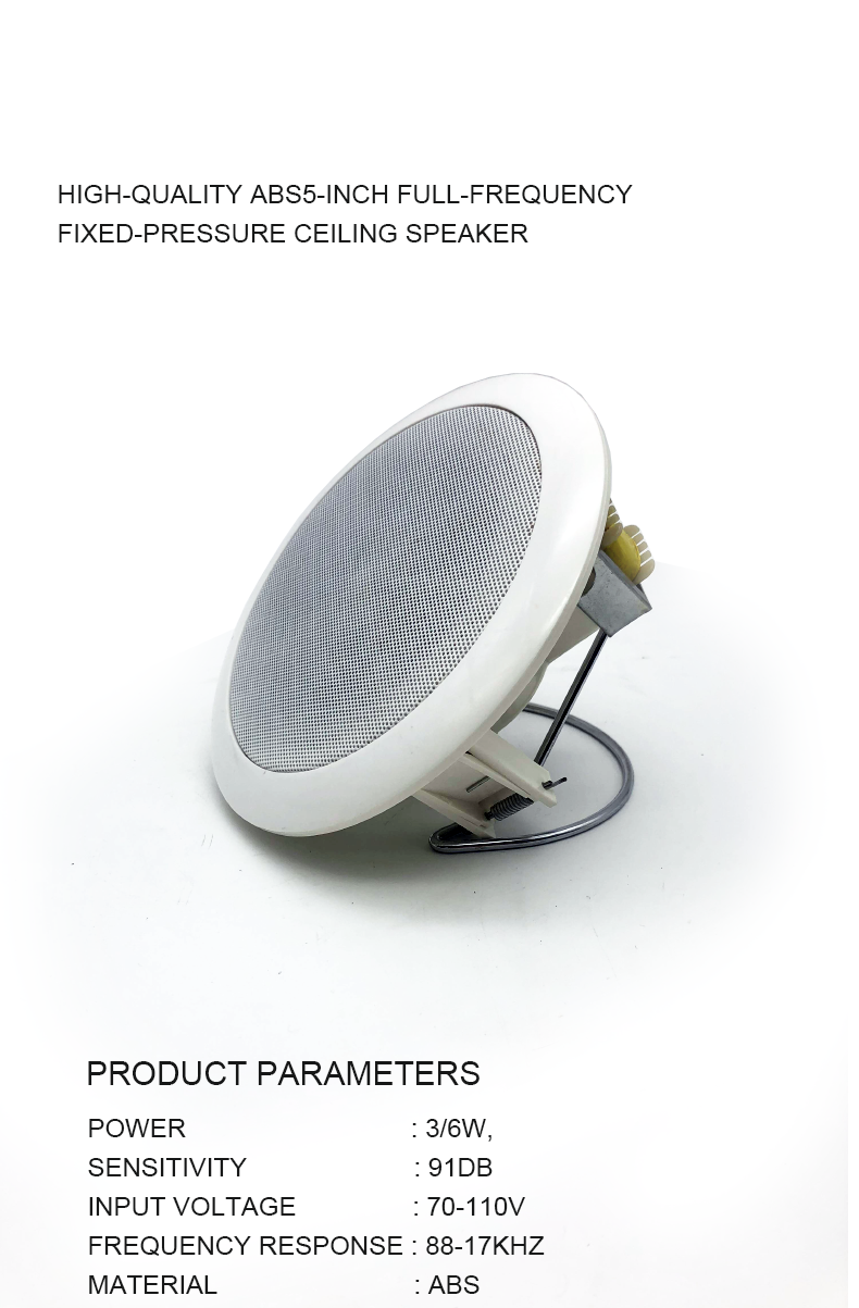 1. 3W mini Hot Selling Ceiling Speaker.png