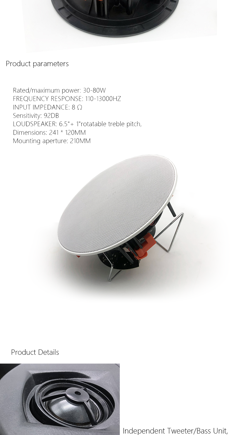 2.Fixed Resistance Coaxial Treble Pitch Tweeter Frameless Ceiling Speaker.png