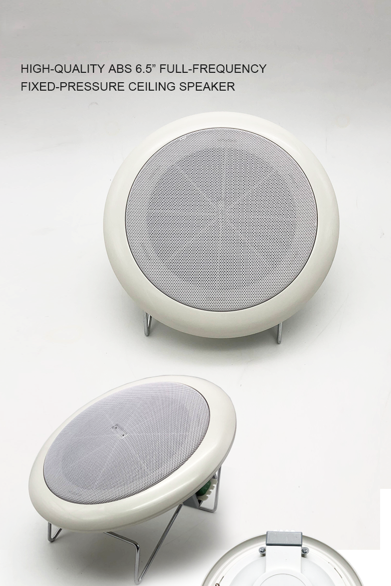 1. 6.5 inch Wall Mount Ceiling Speaker.png 1. 6.5 inch Wall Mount Ceiling Speaker.png