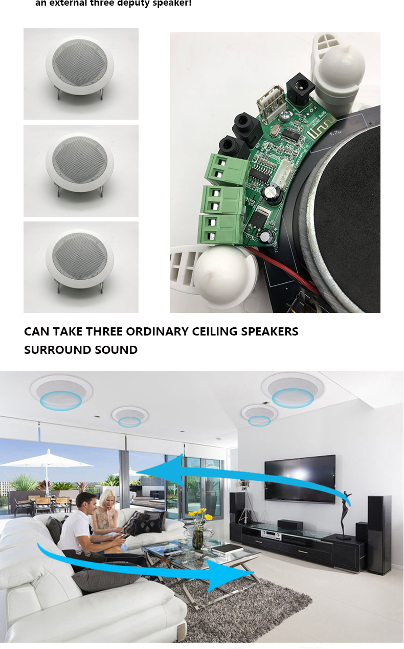 2. 20W 30W professional bluetooth wireless pa system speaker.png