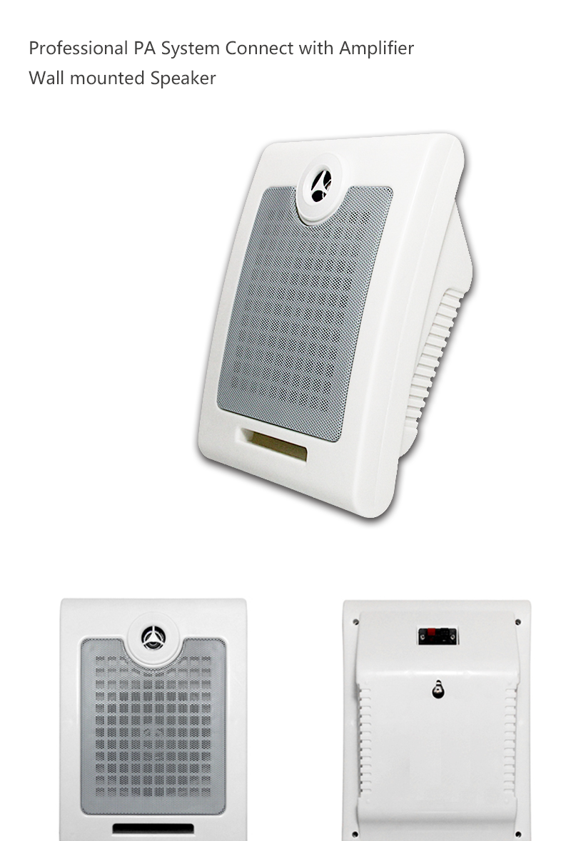 01. 6W 10W wall mount ceiling speaker.png