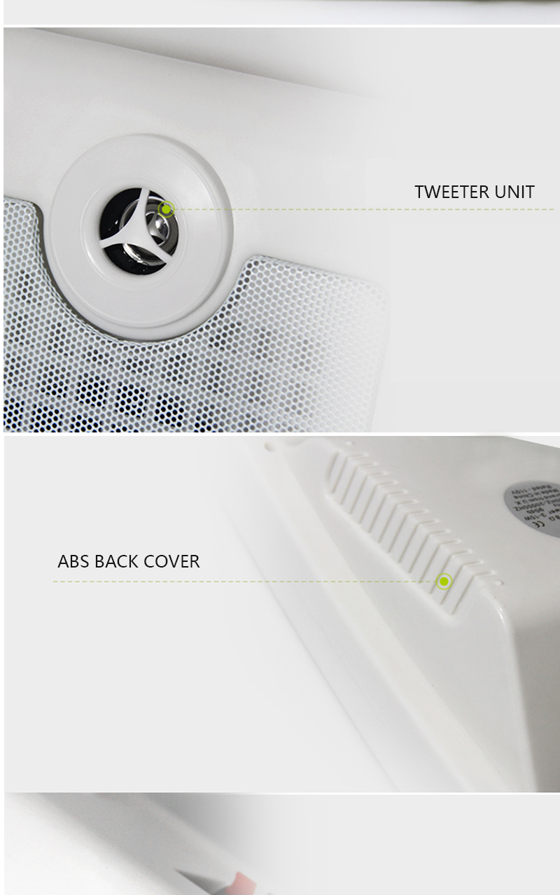 3. 6W 5 INCH MINI WALL MOUNT SPEAKER.png