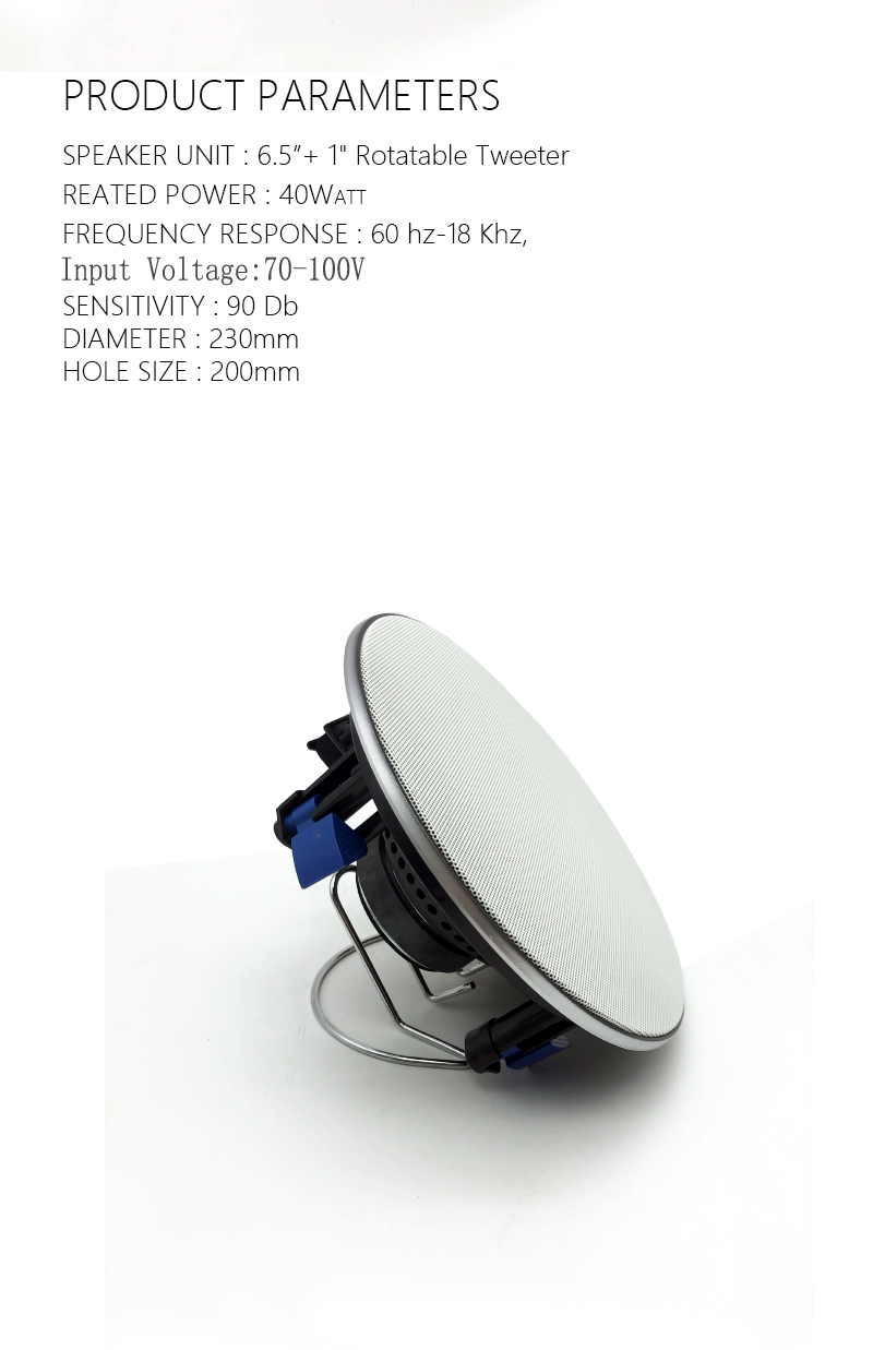 3. good price Frameless Coaxial Treble Ceiling Speaker.jpg