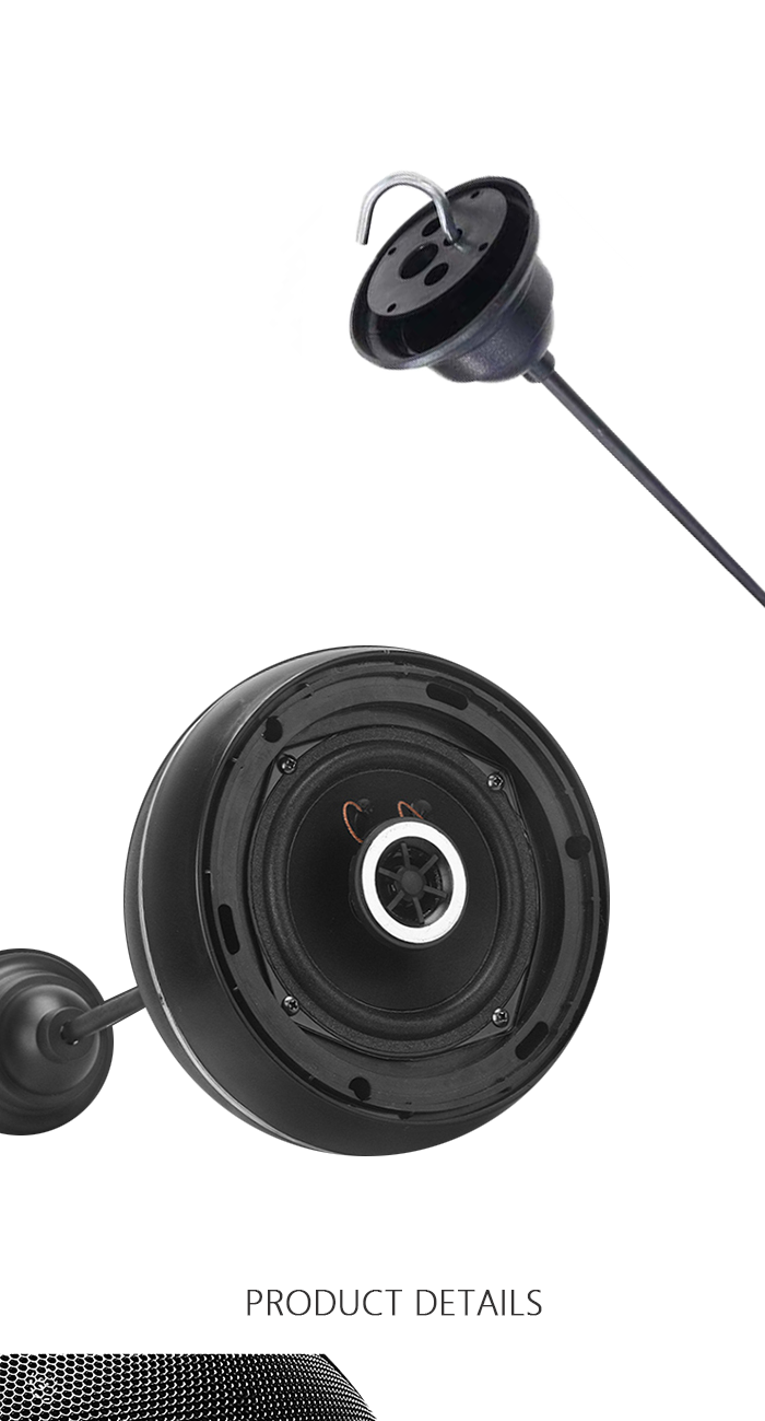 2.Hot Sales 120mm Coaxial Treble Pendant Speaker.png