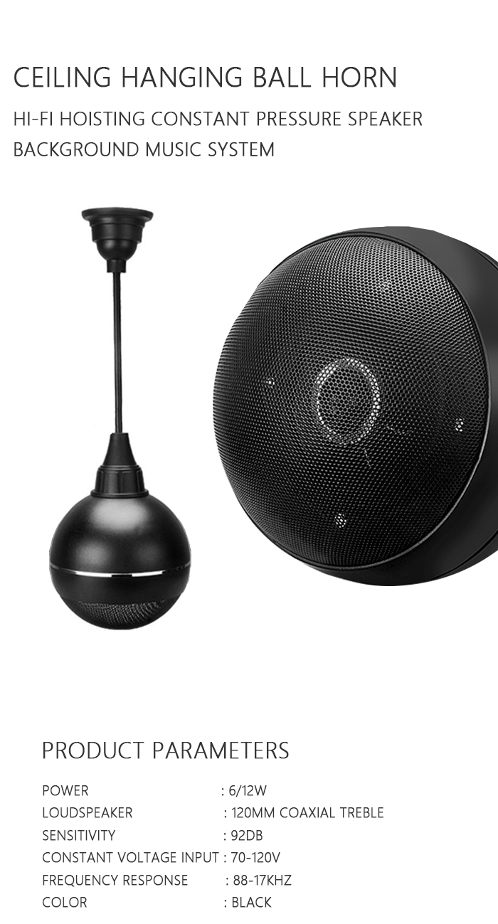 1. 120mm Coaxial Treble Pendant Speaker.png