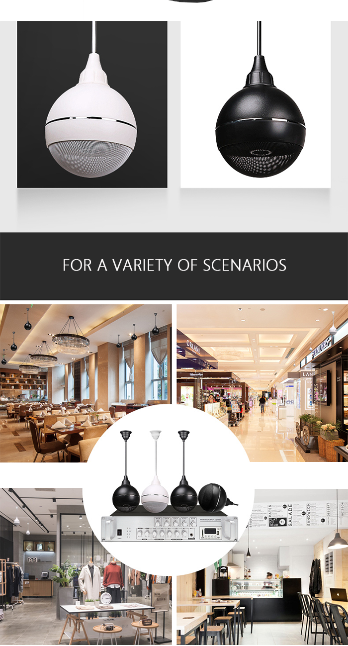 5. Cheap Price 120mm Coaxial Treble Pendant Speaker.png