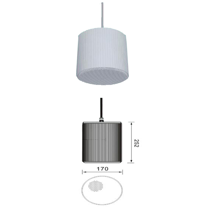20W Iron Material Pendant Speaker (6).jpg