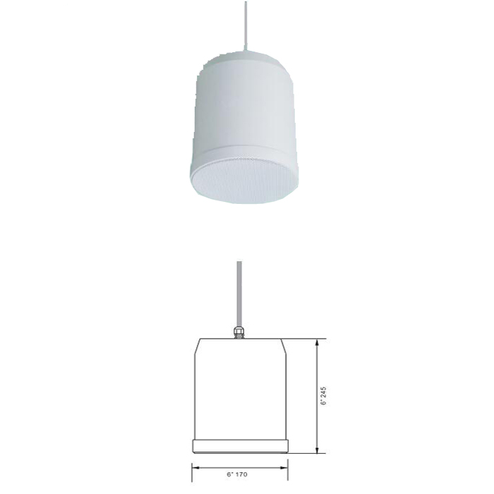 20w 6.5 inch popular hot sales pendant speaker (7).jpg