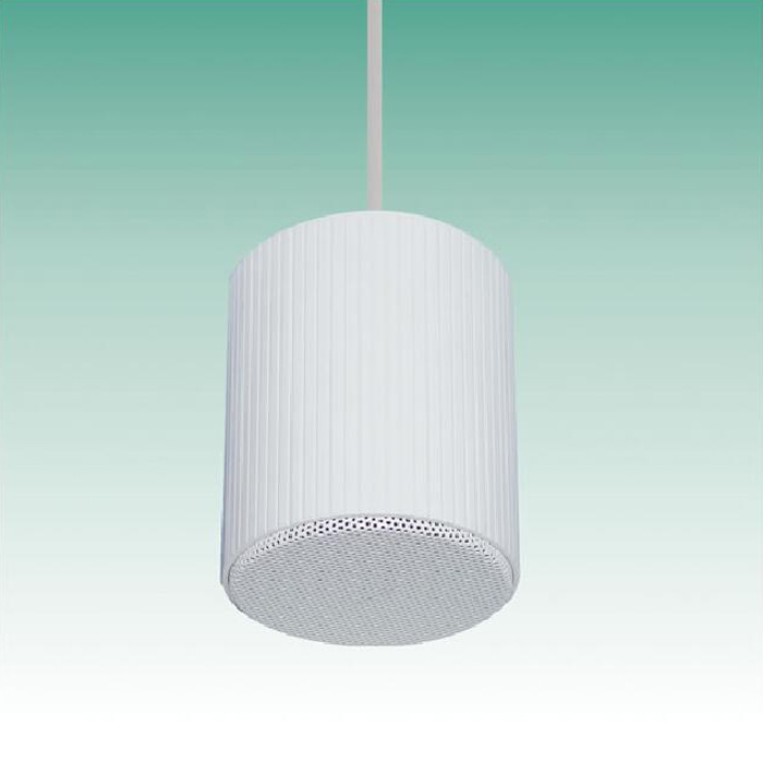 10W Iron Material 5 inch pendant speaker (8).jpg